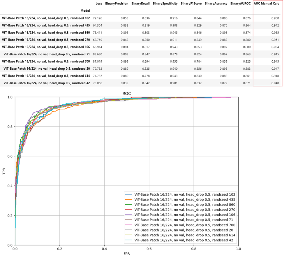ViT-Base Patch 16/224 performance over 10 random seeds